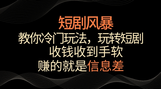 短剧风暴,教你冷门玩法,玩转短剧,收钱收到手软【揭秘】-淘金日记