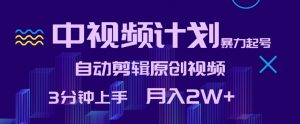 中视频计划暴力起号，自动剪辑原创视频，3分钟上手，月入2W+【揭秘】-淘金日记