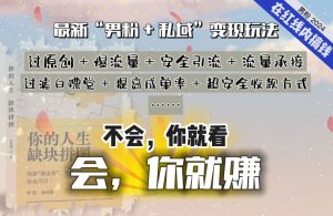 2024，“男粉+私域”还是最耐造、最赚、最轻松、最愉快的变现方式【揭秘】-淘金日记