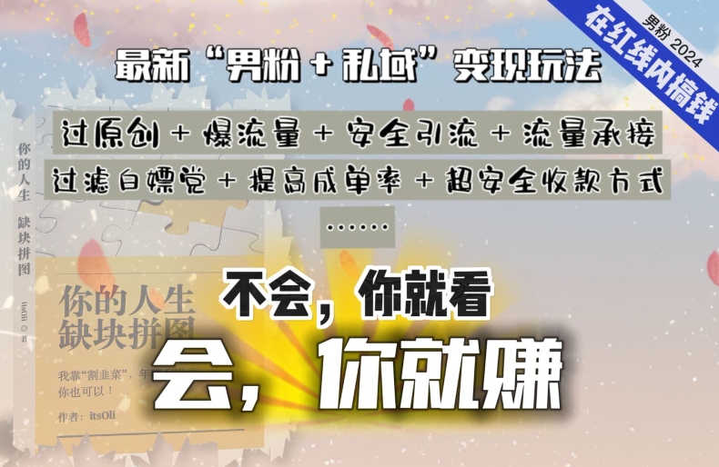 2024，“男粉+私域”还是最耐造、最赚、最轻松、最愉快的变现方式【揭秘】-淘金日记