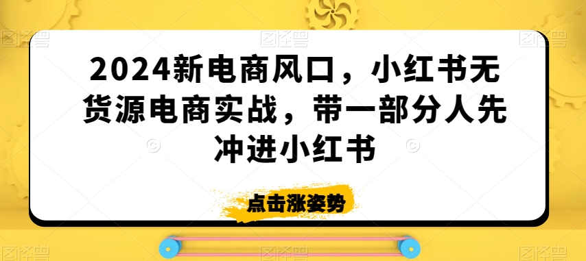 2024新电商风口,小红书无货源电商实战,带一部分人先冲进小红书-淘金日记