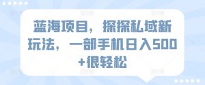 蓝海项目,探探私域新玩法,一部手机日入500+很轻松【揭秘】-淘金日记