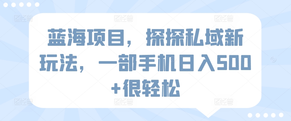 蓝海项目,探探私域新玩法,一部手机日入500+很轻松【揭秘】-淘金日记