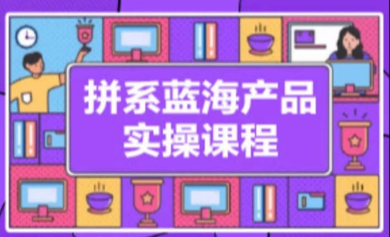 拼系冷门蓝海产品实操课程,从注册店铺到选品上架到流量维护环环相扣-淘金日记