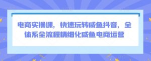 电商实操课,快速玩转咸鱼抖音,全体系全流程精细化咸鱼电商运营-淘金日记