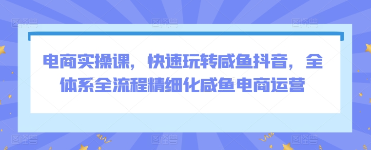 电商实操课,快速玩转咸鱼抖音,全体系全流程精细化咸鱼电商运营-淘金日记