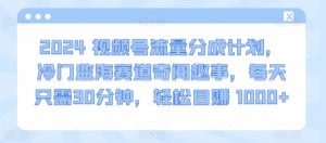 2024视频号流量分成计划，冷门监海赛道奇闻趣事，每天只需30分钟，轻松目赚 1000+【揭秘】-淘金日记