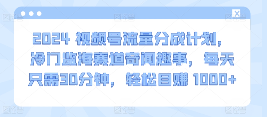 2024视频号流量分成计划，冷门监海赛道奇闻趣事，每天只需30分钟，轻松目赚 1000+【揭秘】-淘金日记