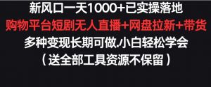新风口一天1000+已实操落地购物平台短剧无人直播+网盘拉新+带货多种变现长期可做【揭秘】-淘金日记