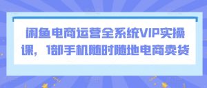 闲鱼电商运营全系统VIP实操课，1部手机随时随地电商卖货-淘金日记