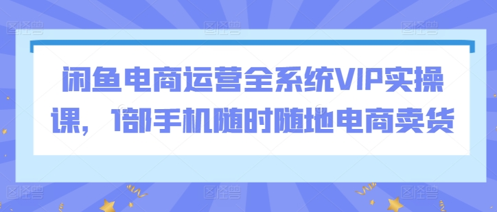 闲鱼电商运营全系统VIP实操课，1部手机随时随地电商卖货-淘金日记