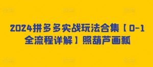 2024拼多多实战玩法合集【0-1全流程详解】照葫芦画瓢-淘金日记