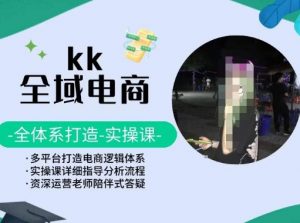 KK全域电商,全体系打造实操课,多平台打造电商逻辑体系-淘金日记
