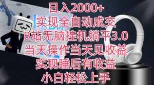 日入2000+，实现全自动成交，B站无脑挂机躺平3.0，当天操作当天见收益，实现睡后有收益【揭秘】-淘金日记