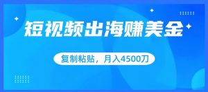 短视频出海赚美金，复制粘贴批量操作，小白轻松掌握，月入4500美刀【揭秘】-淘金日记