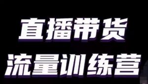 直播带货流量训练营,小白主播必学直播课-淘金日记