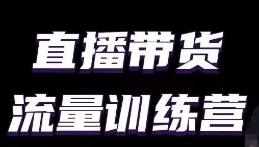 直播带货流量训练营,小白主播必学直播课-淘金日记