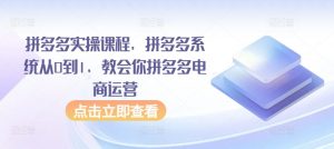 拼多多实操课程,拼多多系统从0到1,教会你拼多多电商运营-淘金日记