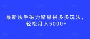 最新快手磁力聚星拼多多玩法，轻松月入5000+【揭秘】-淘金日记
