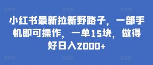 小红书最新拉新野路子,一部手机即可操作,一单15块,做得好日入2000+【揭秘】-淘金日记