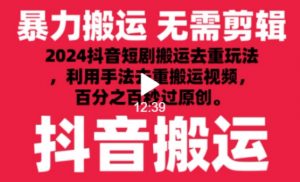 2024最新抖音搬运技术,抖音短剧视频去重,手法搬运,利用工具去重,达到秒过原创的效果【揭秘】-淘金日记