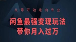 从零开始走向专业,闲鱼最强变现玩法带你月入过万-淘金日记
