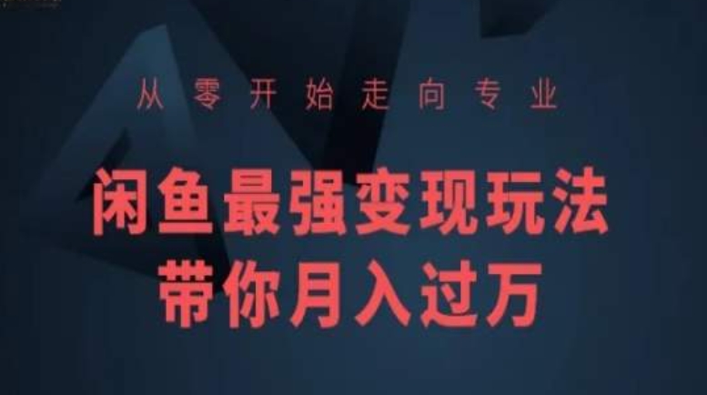 从零开始走向专业,闲鱼最强变现玩法带你月入过万-淘金日记