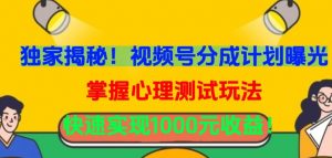 独家揭秘!视频号分成计划曝光,掌握心理测试玩法,快速实现1000元收益【揭秘】-淘金日记