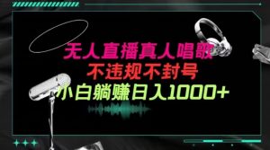 抖音24小时无人直播音乐,不违规,不封号纯撸音浪,小白实操当天日入1000+【揭秘】-淘金日记