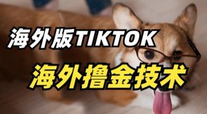 抖音海外版tiktok撸金技术,这个风口行业,赚钱真的不难【揭秘】-淘金日记
