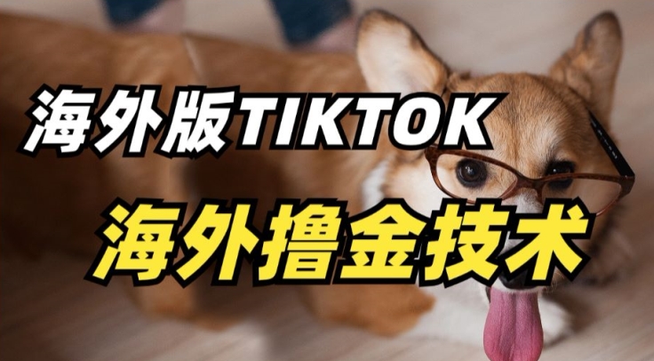 抖音海外版tiktok撸金技术，这个风口行业，赚钱真的不难【揭秘】-淘金日记