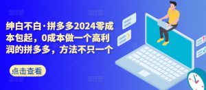拼多多2024零成本包起,0成本做一个高利润的拼多多,方法不只一个-淘金日记