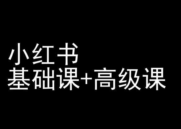 小红书基础课+高级课-小红书运营教程-淘金日记
