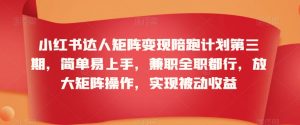 小红书达人矩阵变现陪跑计划第三期,简单易上手,兼职全职都行,放大矩阵操作,实现被动收益-淘金日记