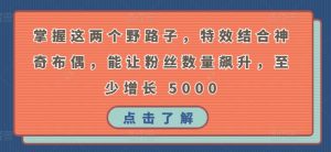 掌握这两个野路子,特效结合神奇布偶,能让粉丝数量飙升,至少增长 5000【揭秘】-淘金日记