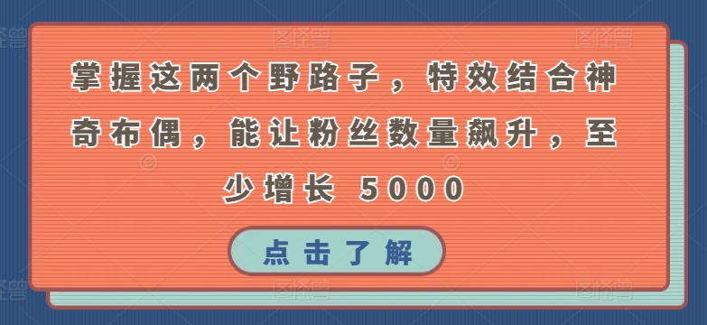 掌握这两个野路子,特效结合神奇布偶,能让粉丝数量飙升,至少增长 5000【揭秘】-淘金日记