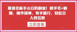 最适合新手小白的副业!薅羊毛+躺赚,操作简单,有手就行,轻松日入四位数【揭秘】-淘金日记