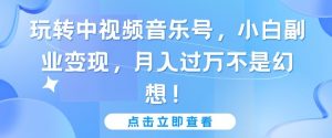 玩转中视频音乐号,小白副业变现,月入过万不是幻想【揭秘】-淘金日记