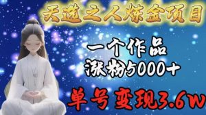 天选之人炼金项目,一个作品涨粉5000+,单号变现3.6w【揭秘】-淘金日记