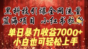 蓝海项目!黑科技引爆全网流量小红书拉新，单日暴力收益7000+，小白也能轻松上手【揭秘】-淘金日记