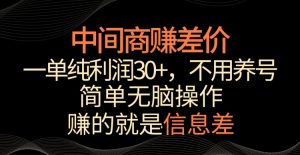 中间商赚差价，一单纯利润30+，简单无脑操作，赚的就是信息差，轻轻松松日入1000+【揭秘】-淘金日记