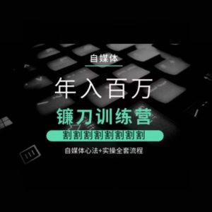 自媒体年入百万镰刀训练营,割割割割割割割割,自媒体心法+实操全套流程-淘金日记