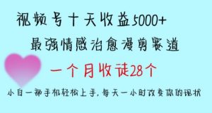 十天收益5000+,多平台捞金,视频号情感治愈漫剪,一个月收徒28个,小白一部手机轻松上手【揭秘】-淘金日记