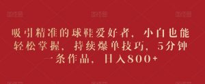 吸引精准的球鞋爱好者，小白也能轻松掌握，持续爆单技巧，5分钟一条作品，日入800+【揭秘】-淘金日记