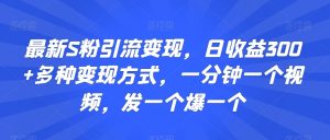 最新S粉引流变现,日收益300+多种变现方式,一分钟一个视频,发一个爆一个【揭秘】-淘金日记