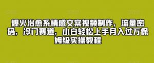 爆火治愈系情感文案视频制作，流量密码，冷门赛道，小白轻松上手月入过万保姆级实操教程【揭秘】-淘金日记
