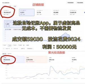 小红书蓝海小众项目，自动记账快捷指令，实操月入50000+【揭秘】-淘金日记