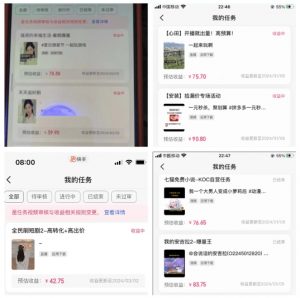 2024年3月最新，快手磁力聚星全流程实操教学，8台手机日均收益稳定100~200元【揭秘】-淘金日记