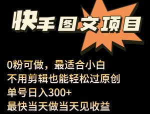 24年最新快手图文带货项目，零粉可做，不用剪辑轻松过原创单号轻松日入300+【揭秘】-淘金日记