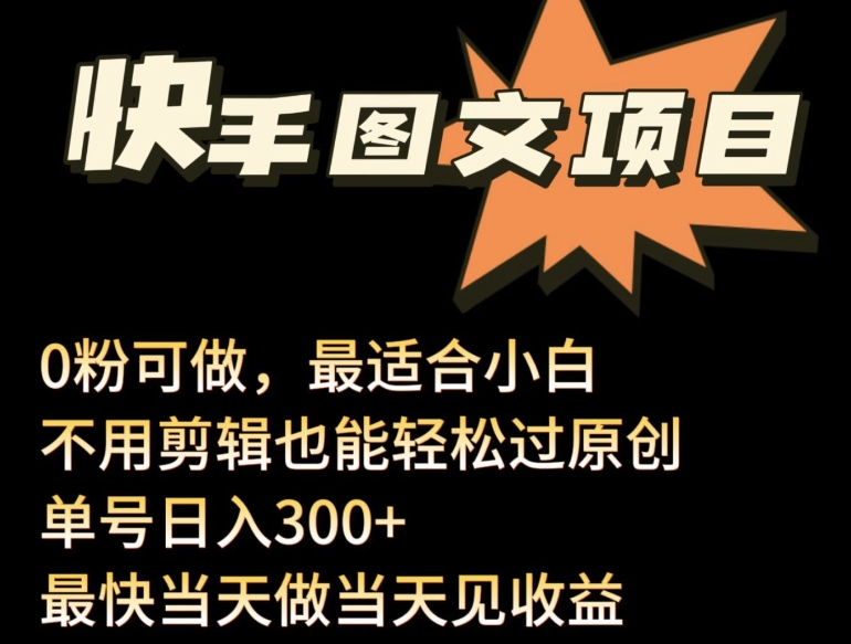 24年最新快手图文带货项目，零粉可做，不用剪辑轻松过原创单号轻松日入300+【揭秘】-淘金日记